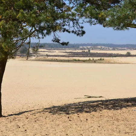 Duinhoeve-1 By Interhome Udenhout