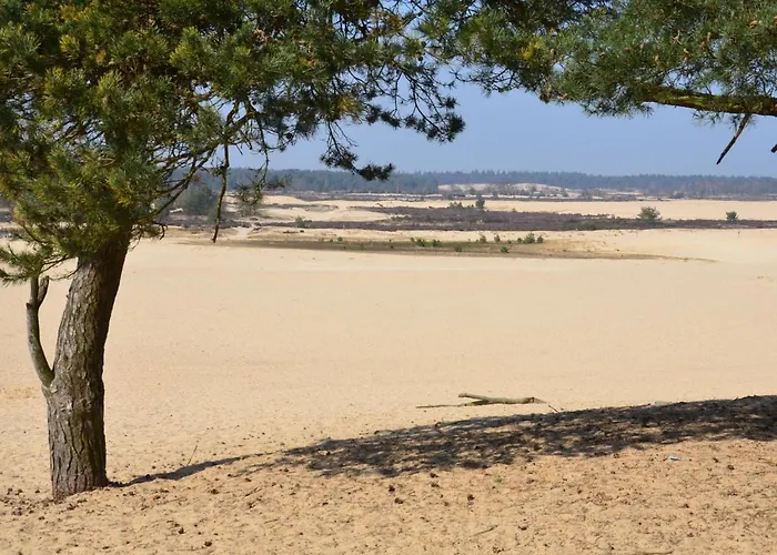 Duinhoeve-1 By Interhome Udenhout