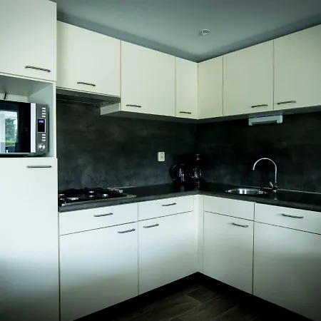 Prázdninový dům Duinhoeve-1 By Interhome Udenhout